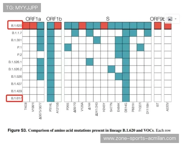 “超级劲旅崛起：黑马球队的逆袭故事”